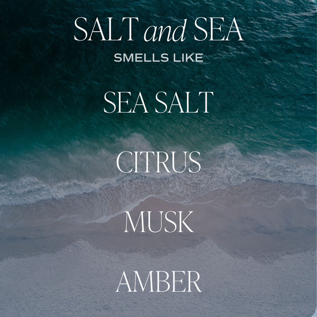 Salt &amp; Sea Soy Candle