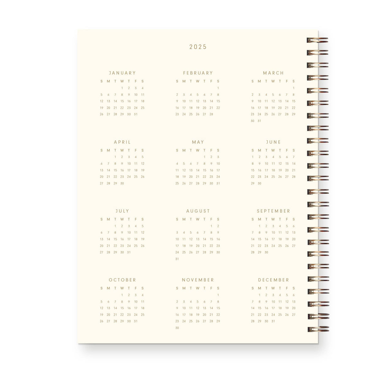 2025 Standard Type Dated Weekly Planner